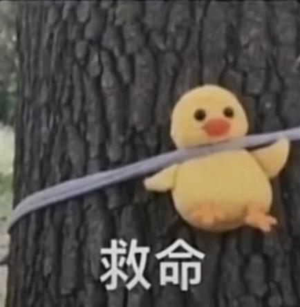 小黄鸭求救