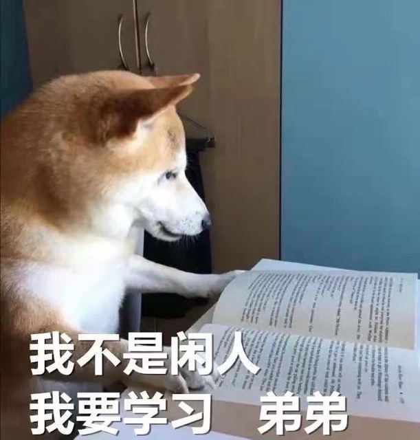 我不是闲人，我要学习，弟弟