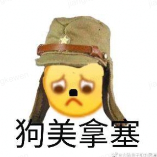 狗美拿塞