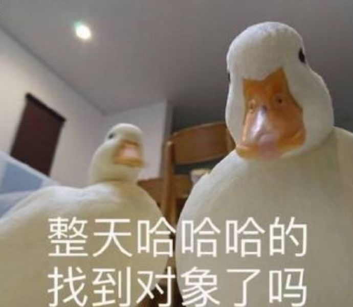 单身鸭的调侃