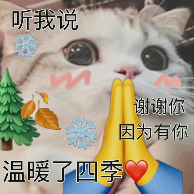 猫咪祈祷表情包