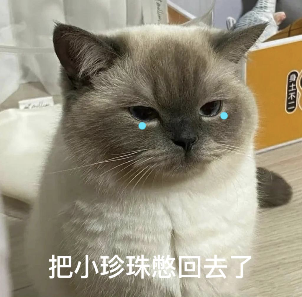 猫咪的委屈