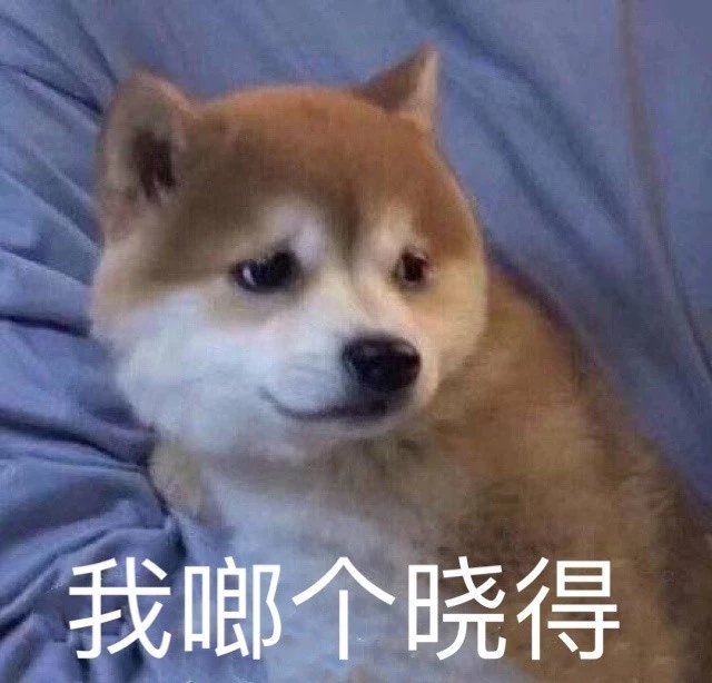 我哪晓得