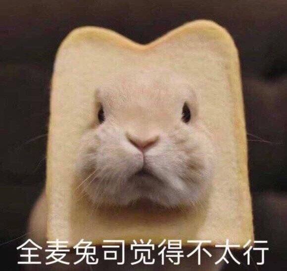 全麦兔司