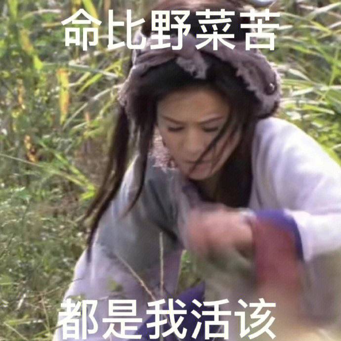 命比野菜苦，都是我活该