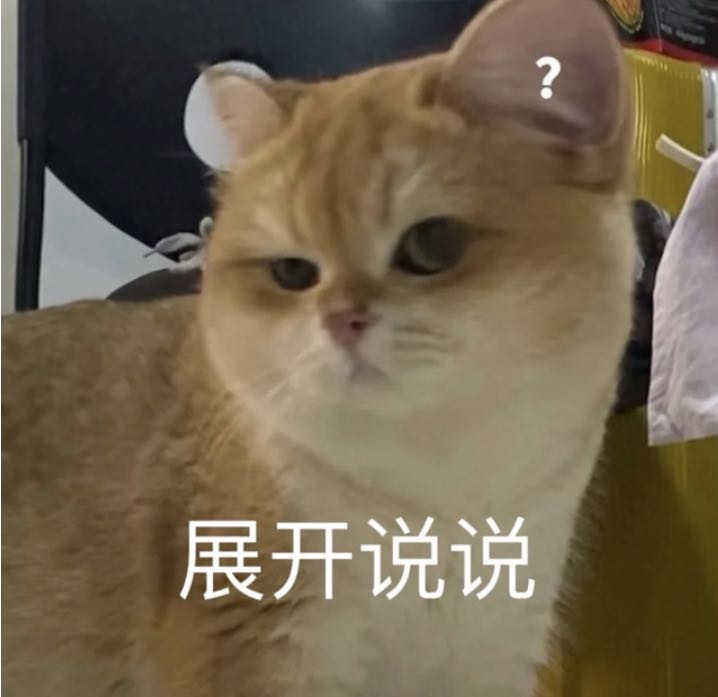 猫咪展开说说