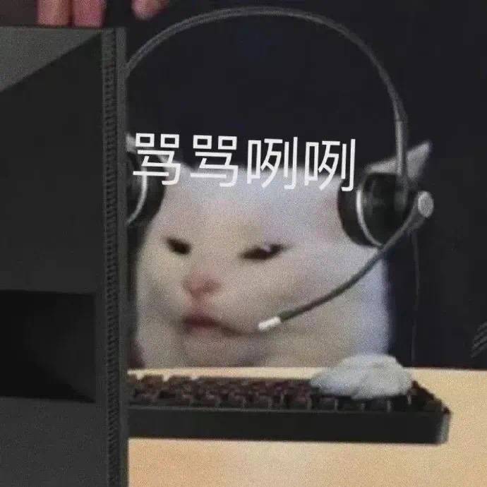 猫咪接线员