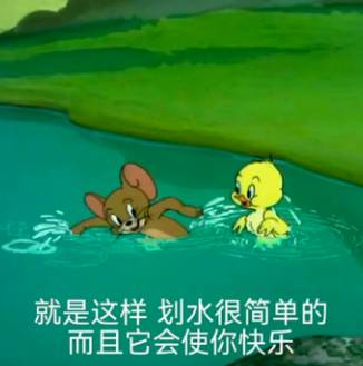 猫和老鼠划水