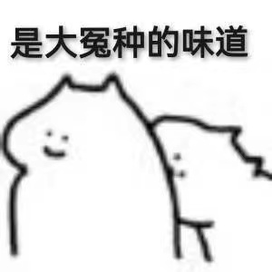 是大冤种的味道