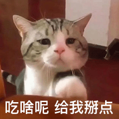 猫咪要零食