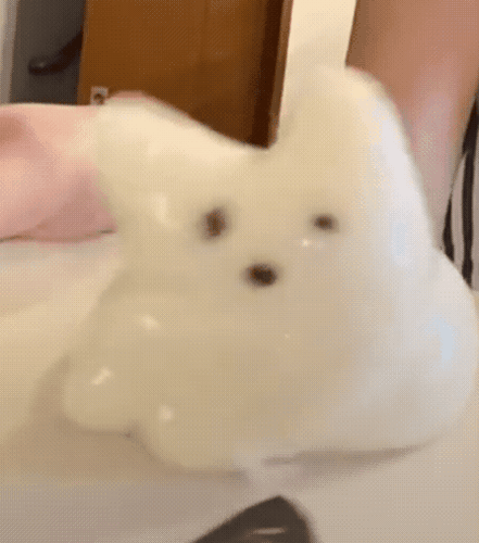 震惊的兔子