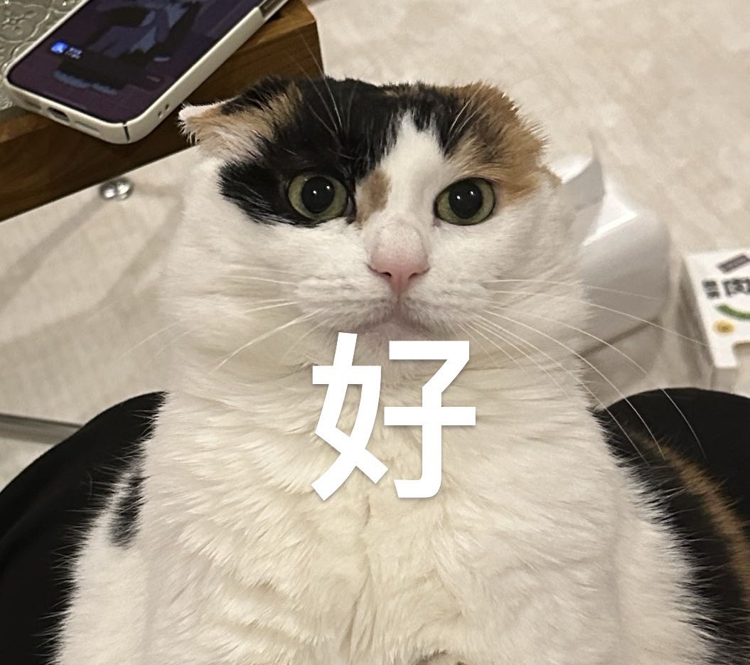猫咪冷漠脸