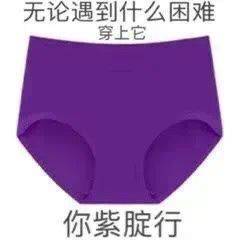 紫腚能行