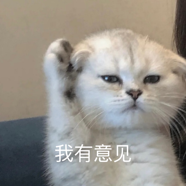猫咪翻白眼