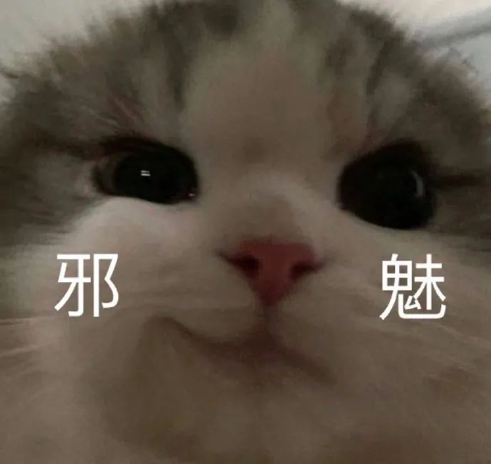 邪魅猫咪