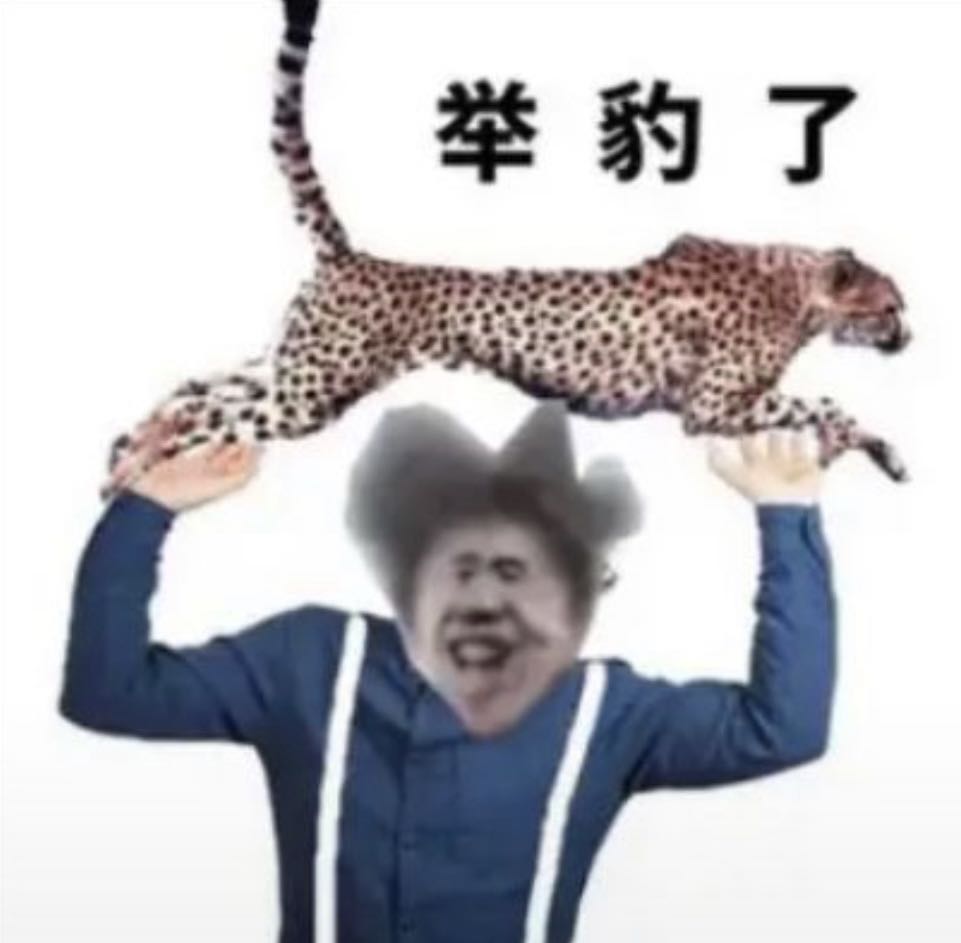 举豹了