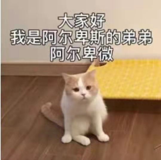 我是阿尔卑斯的弟弟阿尔卑微