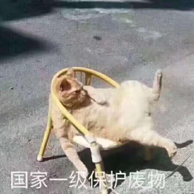 国家一级保护动物