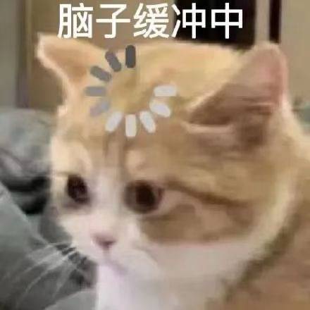 脑子缓冲中