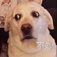 不妙的狗狗