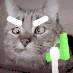 猫咪拿水枪