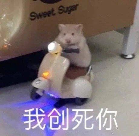 仓鼠骑电动车