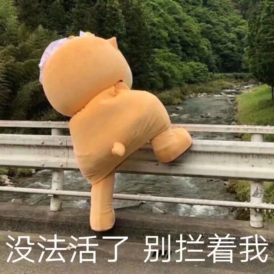 没法活了，别拦着我
