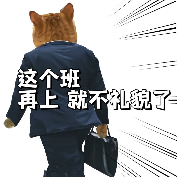 猫咪上班表情包