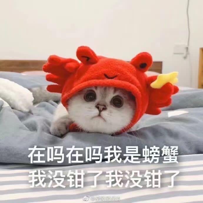 我是螃蟹我没钳了
