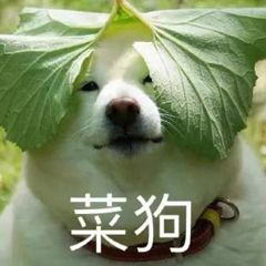 菜狗的尴尬