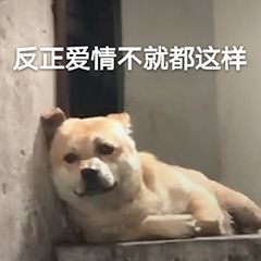 爱情不就这样