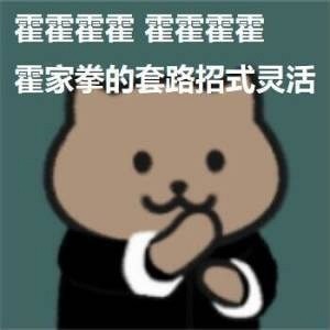 霍家拳的套路招式灵活