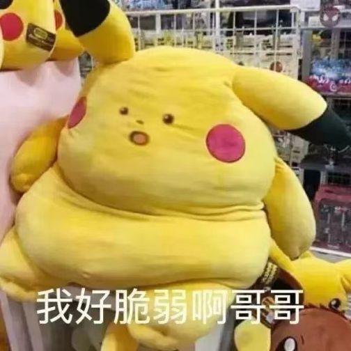 胖胖的皮卡丘