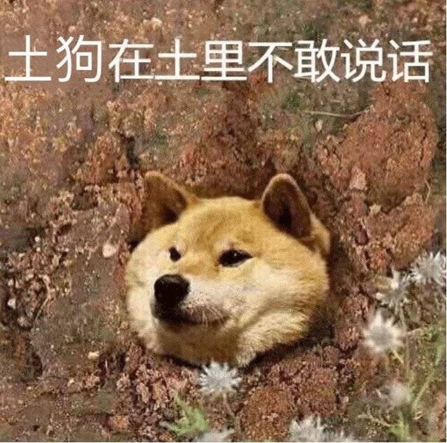 土狗不敢说话