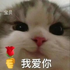 猫咪我爱你