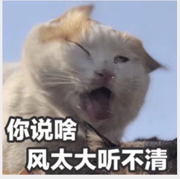 风太大听不清