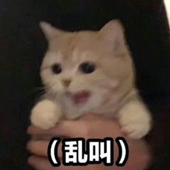 小猫乱叫表情包