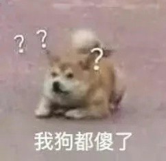 我狗都傻了