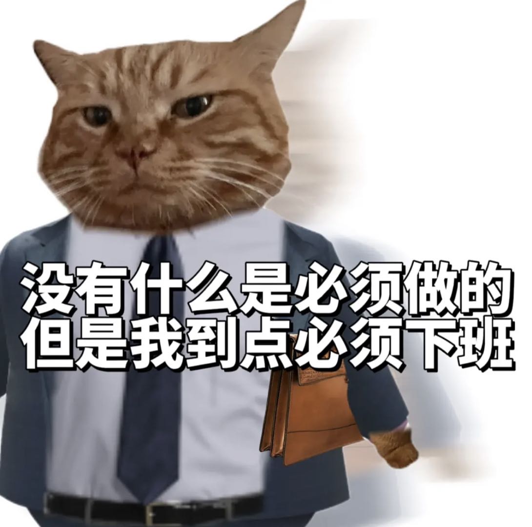 到点下班的猫