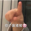 你个臭猪猪