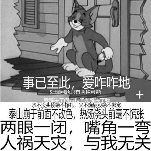 事已至此，爱咋咋地