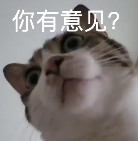 你有意见？