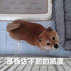 是我达不到的高度
