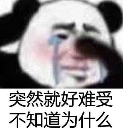 熊猫头流泪