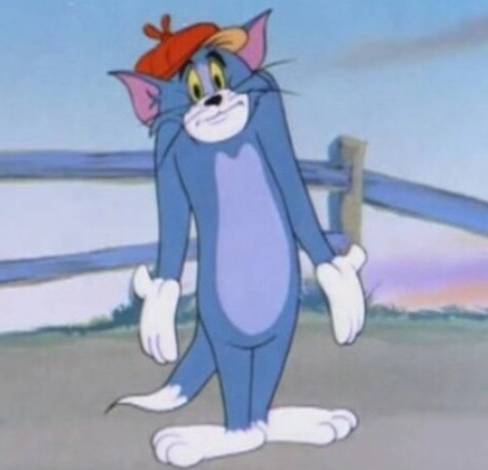尴尬的汤姆猫