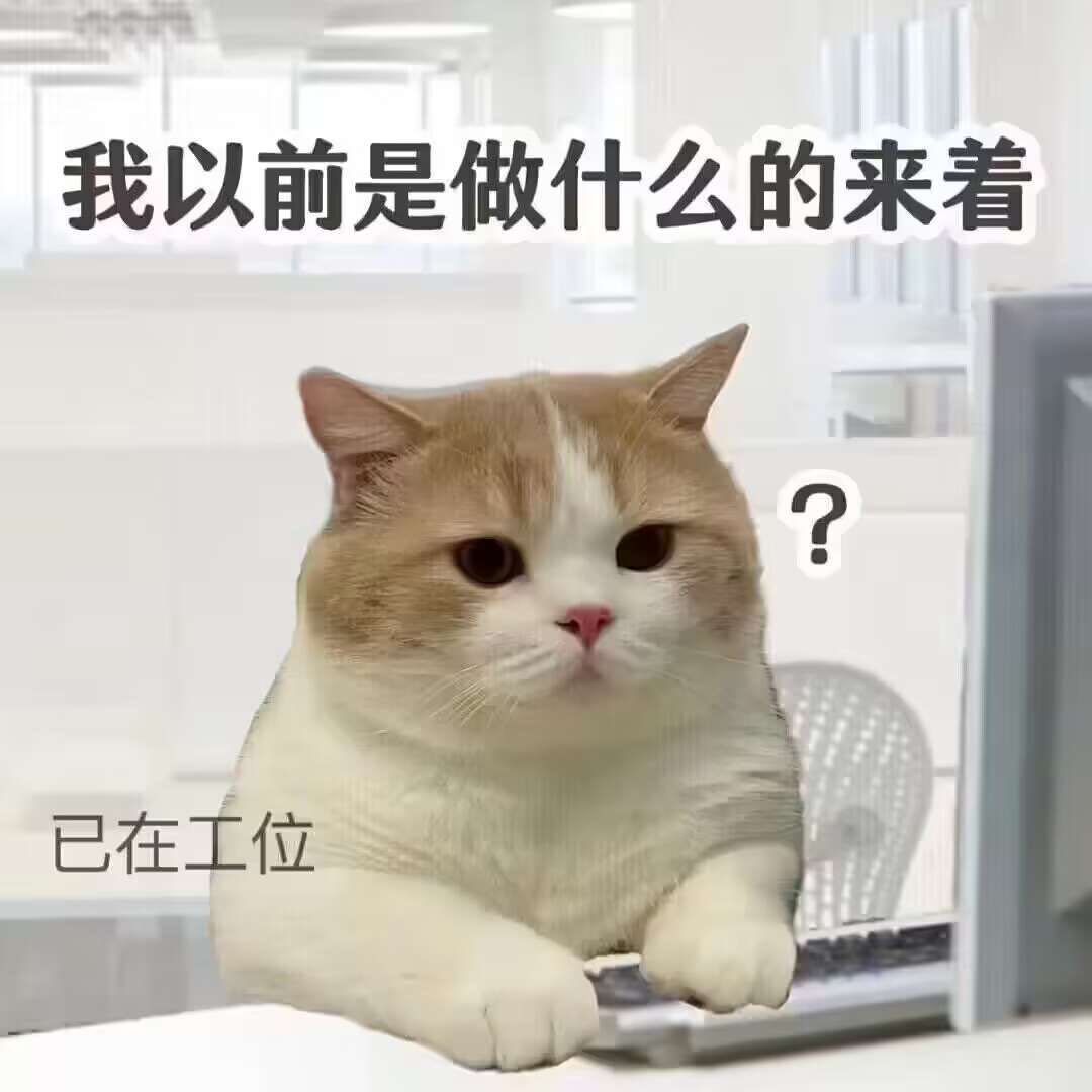 我以前是做什么的来着？