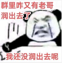 熊猫头群里老哥润出去了