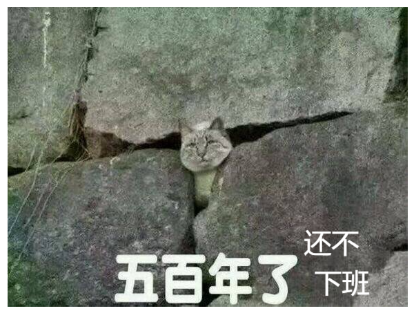 五百年了，还不下班