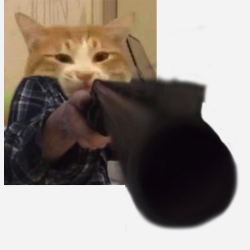 猫咪瞄准射击