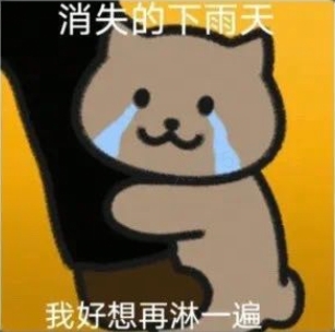 消失的下雨天